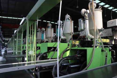 臨浦 從“跟跑”到“領跑”，科技創新為日用百貨產業插上騰飛之翼